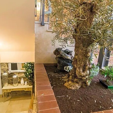 Maison d'hôtes Antika Snoga 3*