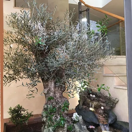 Antika Snoga 3* Ávila