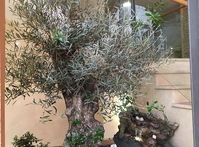 Antika Snoga 3* Ávila